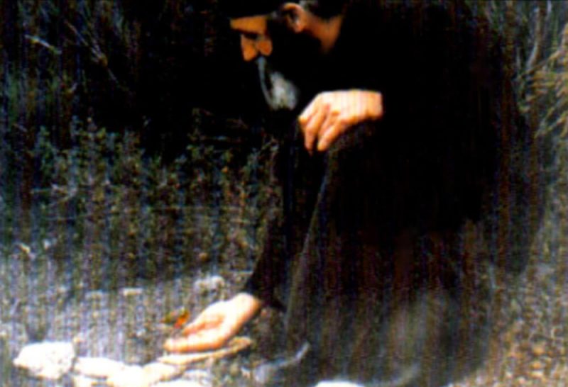 Преподобный старец Паисий Святогорец и птичка, фото